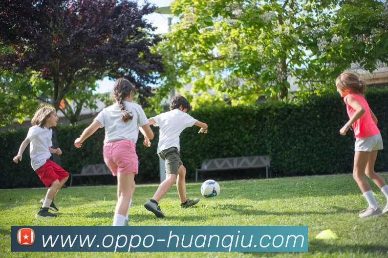 环球体育平台生态图